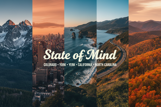 State of Mind Collection