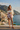 Amalfi