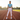 Athletic Performance Look