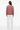 Back – White BG
