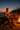 Beach Bonfire