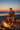 Beach Bonfire