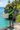 Cliff Overlook