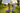 Close-Up 6 – Sunlit Park
