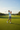 Fairway Driver Shot