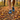 Forest Trail