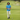 Golf course environment