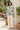 Knitted hoodie Mediterranean café editorial