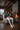Lodge Interior Editorial