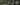 Logo detail - Camo