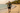 Look 1 – Tropical Walk