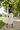 Look 10 – Parisian Park