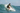 Look 2 – Surf Session
