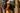 Look 4 – Hammock Yellow Female