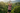 Look 4 – Zip-Line