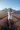 Look 8 – Orchid Lavender Field