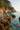 Look – Crystal Cove