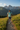 Mountain Trail