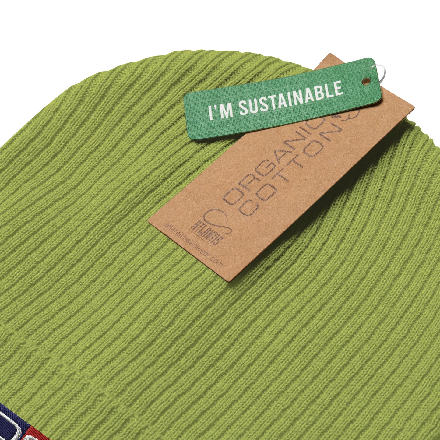 Oddson Organic ribbed beanie