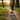 Outdoor trail/park setting