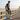 Pacific Islander model beach boardwalk