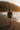 Pacific Northwest Dark Sand Beach