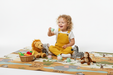 Pretend picnic