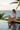 Resort Infinity Pool