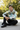 Sitting pose front