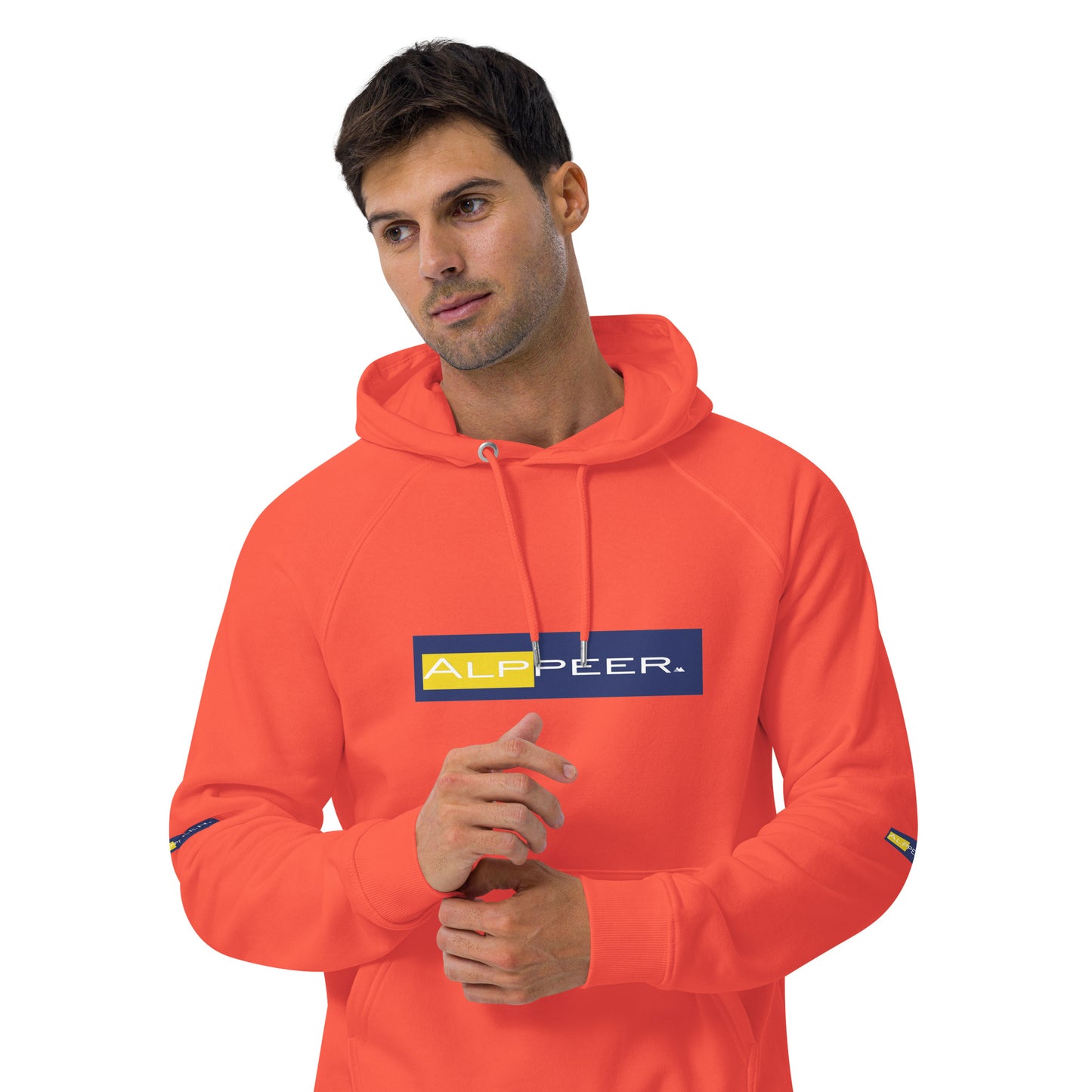Alps raglan hoodie