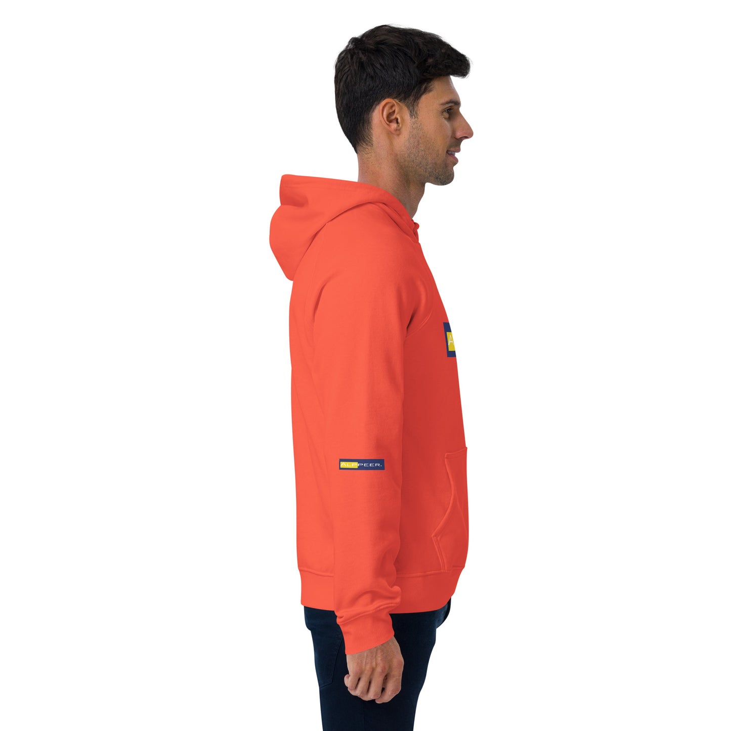 Alps raglan hoodie