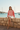 Vortex Knit — Harbor Wall