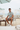White Cabana Beach Club