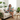 Woman with Tropical Pillows