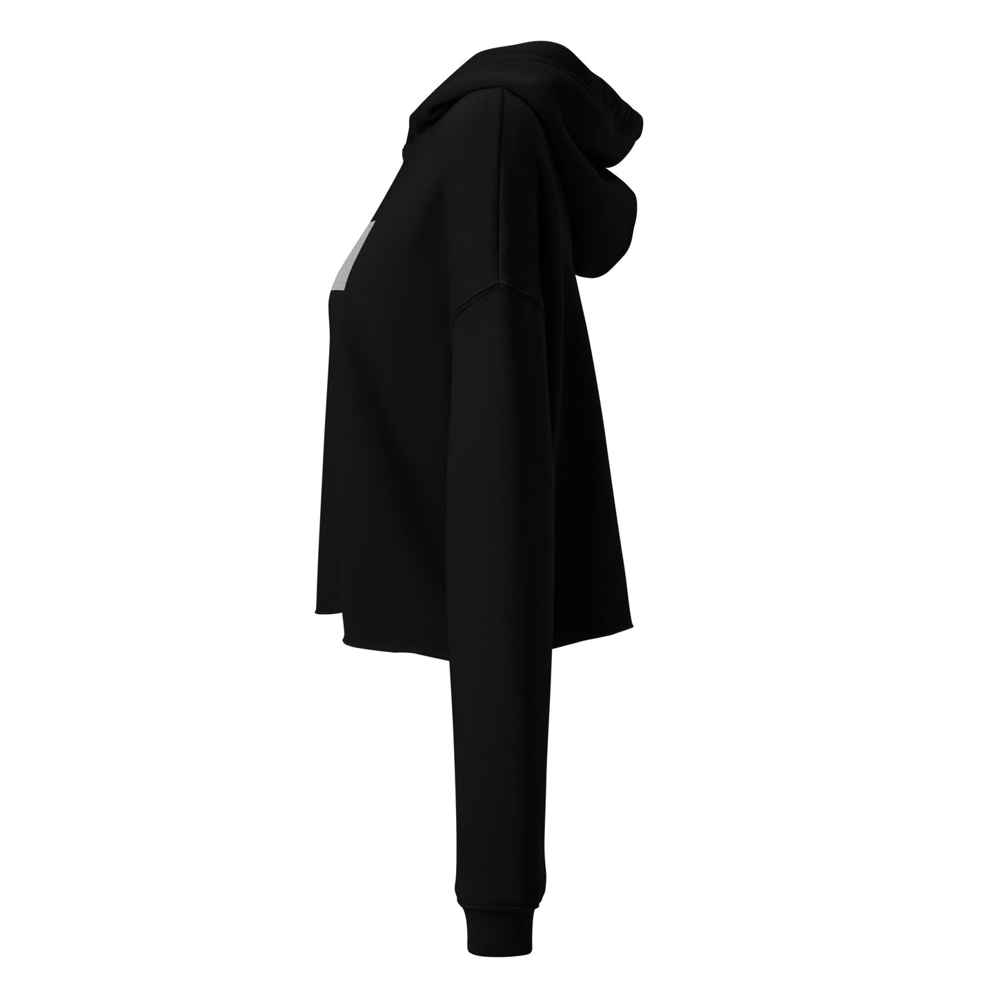 Surfxion Crop Hoodie