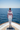 Yacht Back