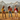Fall Editorial Cover – Alpine