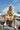 Alppeer Diamond Hoodie – Butter Yellow Female Rocks
