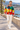 Alppeer-Hued windbreaker seaside promenade editorial