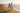 Alppeer Logo Box — Beach Walk Duo