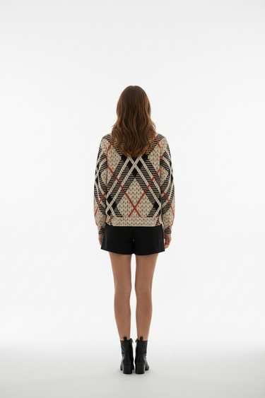 Argyle Sweatshirt — Back