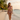 Beach Walk
