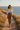 Color-Block Sweater – Bermuda Shorts Fall