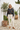 Cropped windbreaker with ecru jeans in villa courtyard