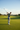 Fairway Driver Shot