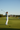 Fairway Driver Shot
