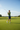 Fairway Iron Shot