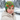 Girl age 6 wearing dinosaur jungle beanie