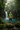 Jungle Waterfall