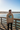 Latte — Pier Overlook